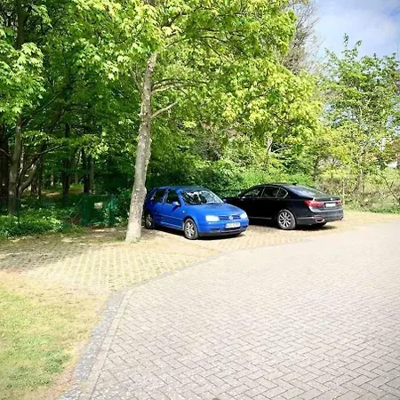 Haus Diana Molenfeuer Und Waldblick